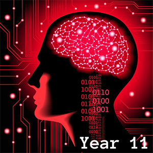 Year 10 ICT