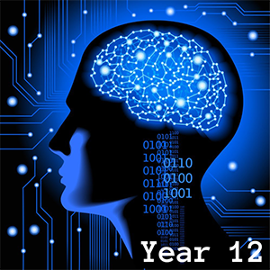 Year 12 ICT